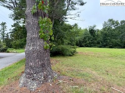 Lot 206 Sokassa Road, Newland, NC, 28657