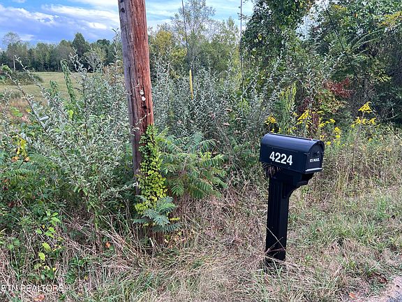 4th image of 4224 Cabbage Dr