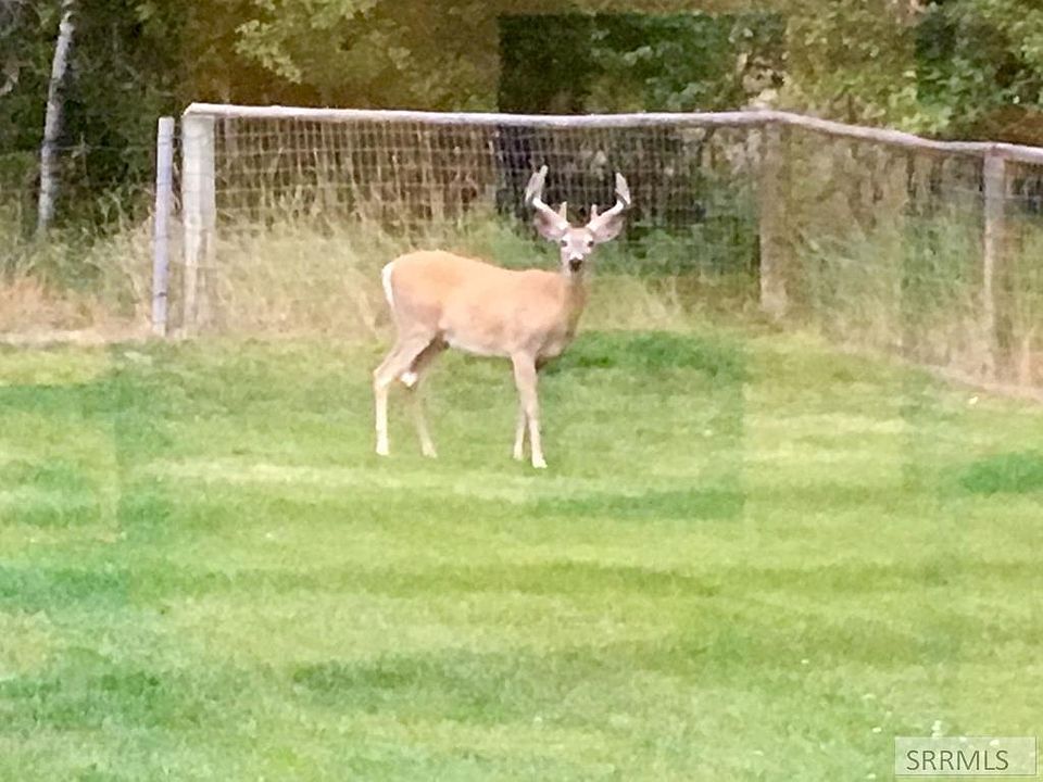 76th image of this home