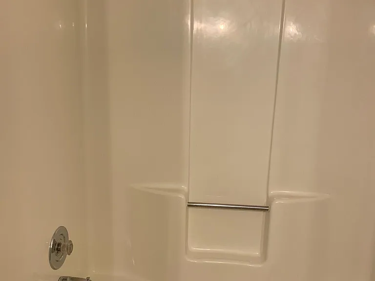 Hall bathroom shower