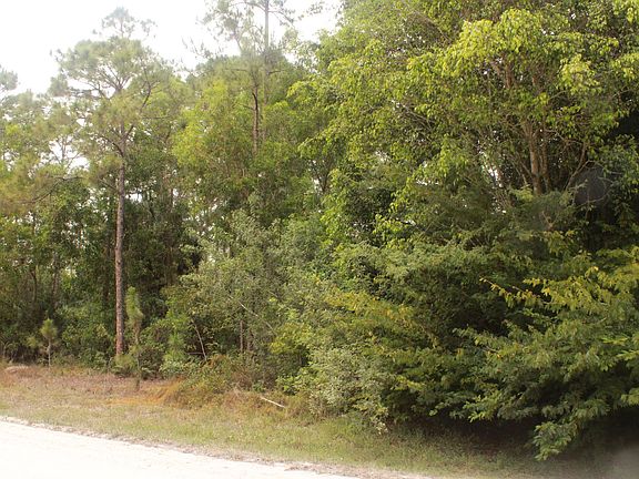 4th image of 0 83rd Lane