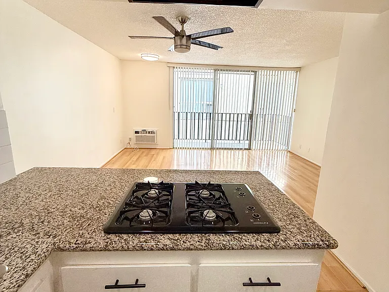 1617 N Poinsettia Place — Photo 26