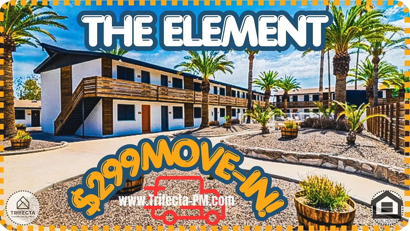 The Element — Photo 1