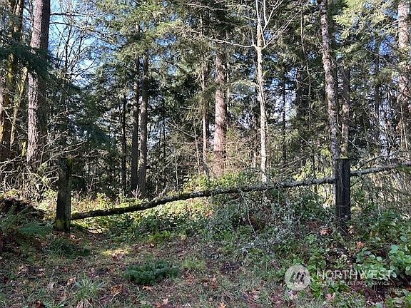 5th image of 13649 Chein Hill Lane SE