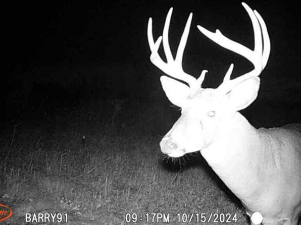 Cox Rd LOT WP001, Bellevue, MI 49021