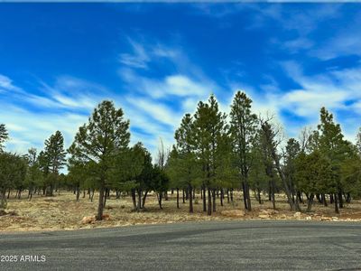 5823 Cripple Creek #259, Happy Jack, AZ, 86024