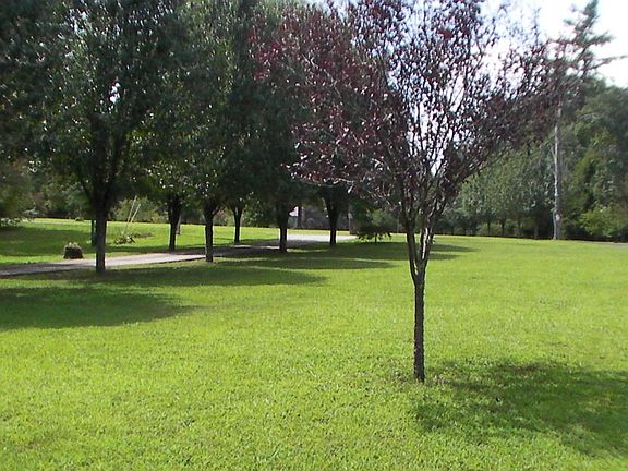 3rd image of 2448 Highland Ln