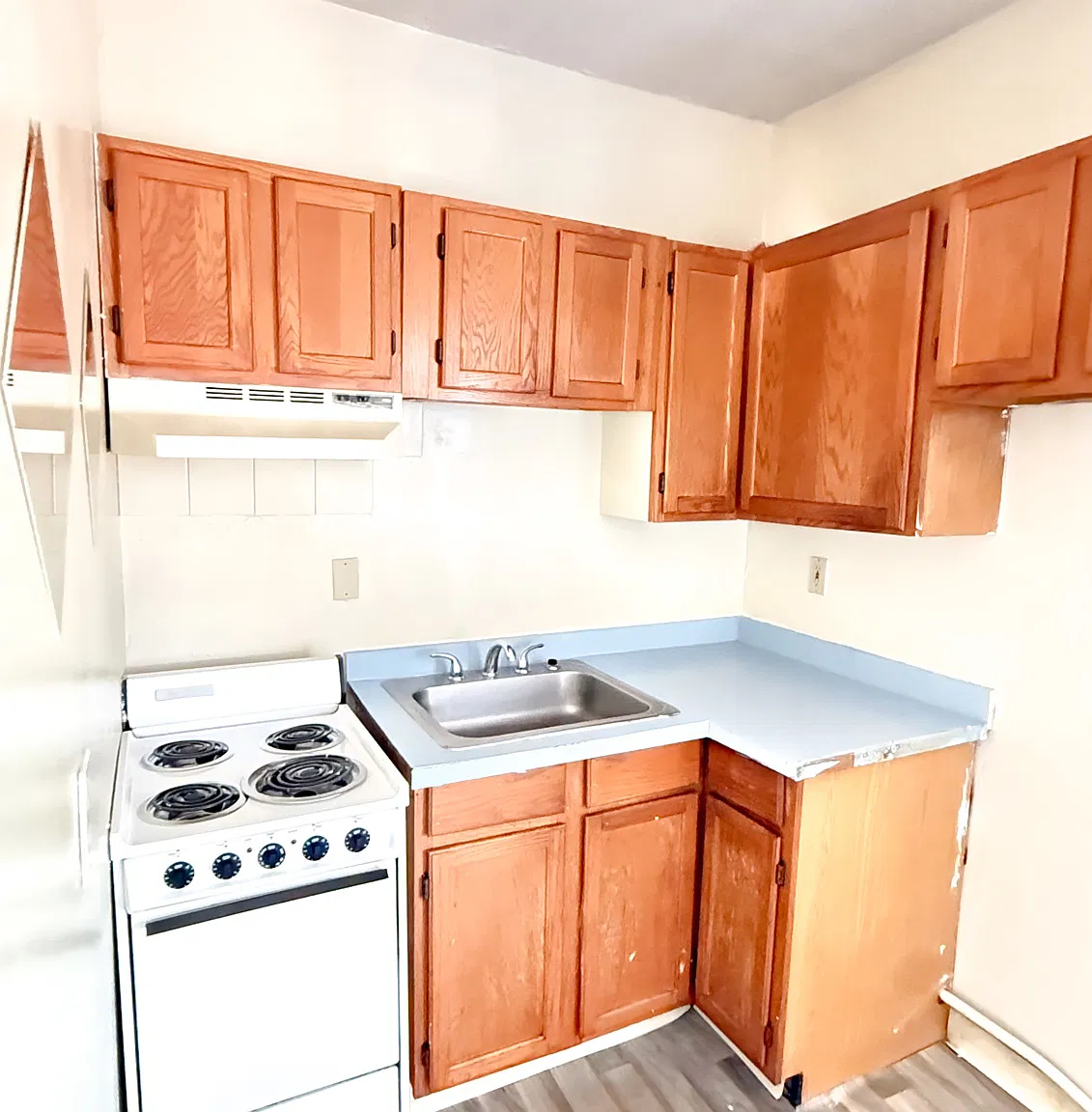 1 bed, 900 sqft, $1,200 — Photo 3