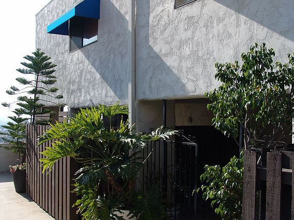 Front entrance and plants