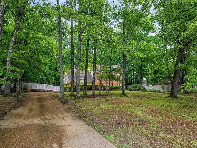 8428 Bazemore Rd — Photo 4