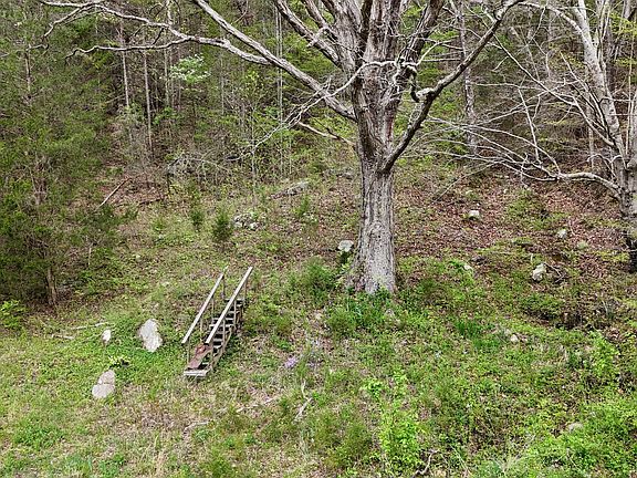 5th image of TRACT 1 Grassy Creek Rd