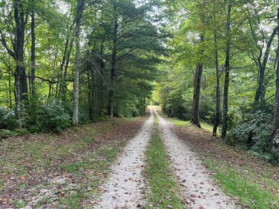 0 Pine Mountain Dr, Topton, NC, 28781