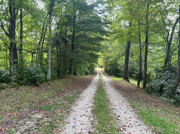 0 Pine Mountain Dr, Topton, NC 28781