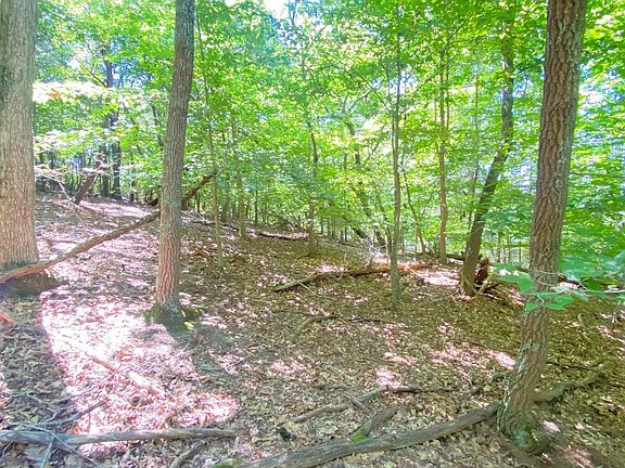 5th image of LOT 2 Flat Woods Rd