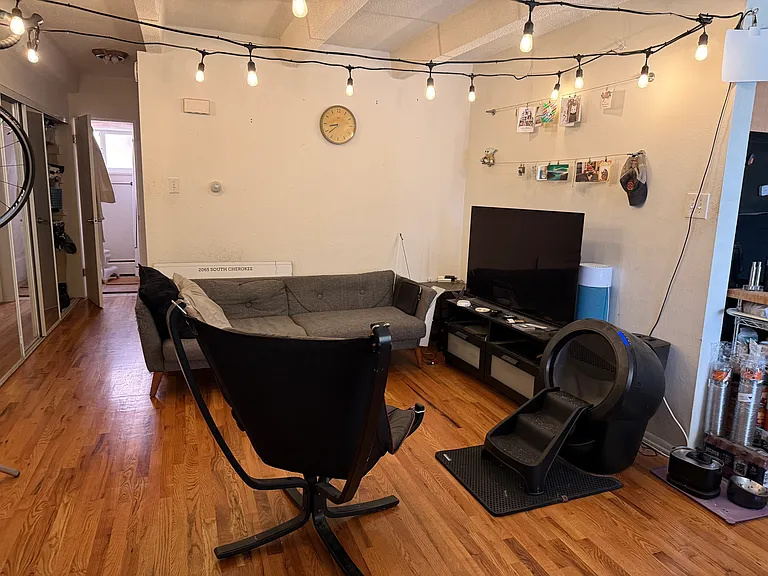 250 N Pearl St #203 — Photo 3