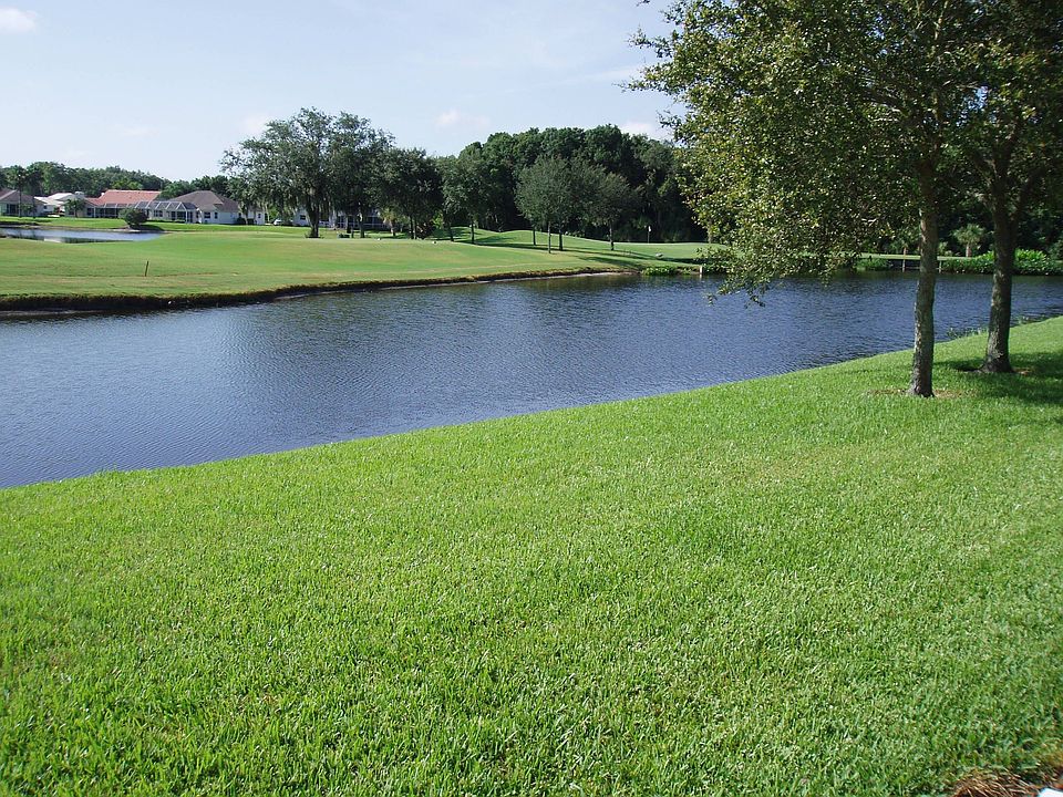 Open golf course view