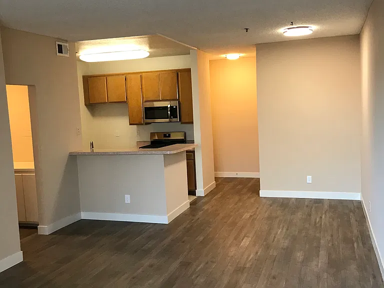 Apt.306 Living room