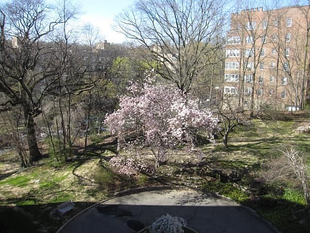 1st image of 3 Washington Sq APT 4E