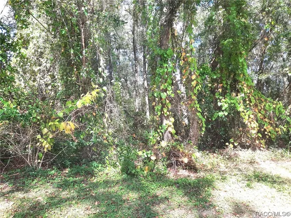 6095 E Tudor St, Inverness, FL 34452