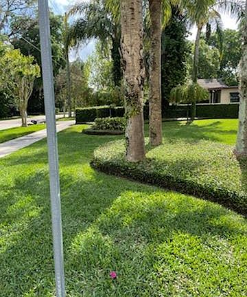 Front yard landscaping