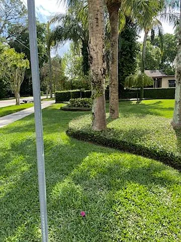 Front yard landscaping