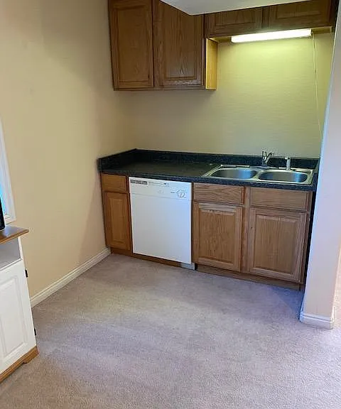 Kitchen sink, dishwasher cabinets
