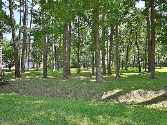 Lot 17 has no septic lines or sprinklers but has many mature trees.