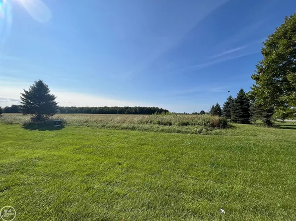23082 Chase Lane Ct, Ray, MI 48096