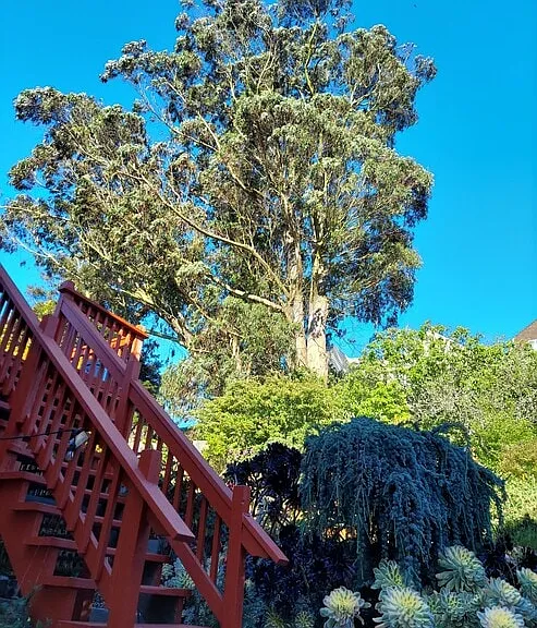 3565 Mission St #C — Photo 3