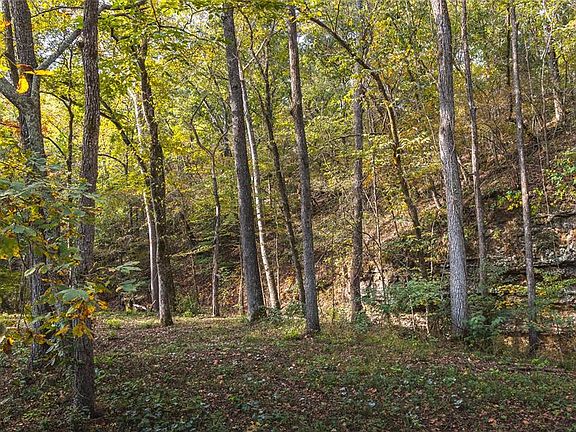 2nd image of 0 Long Spring Rd