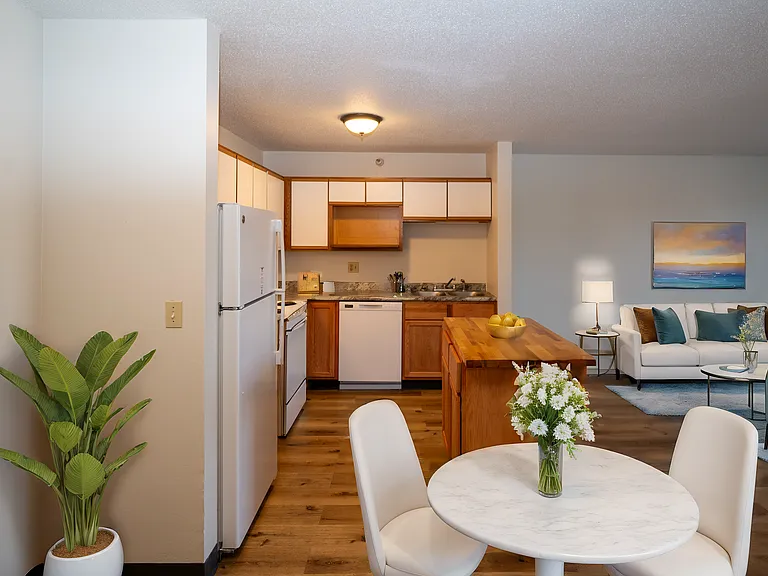 Dining Area/Kitchen
