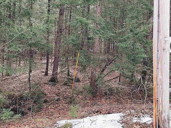 5th image of Lot 2-31-6 Bessie Leavitt Lane
