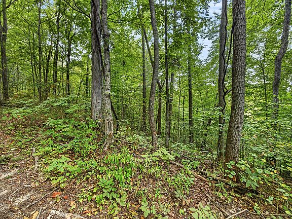 5th image of 0 Timber Ridge Ln Lot 32