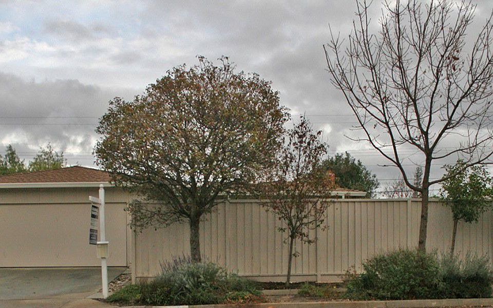 1st image of 1632 Grosbeak Ave