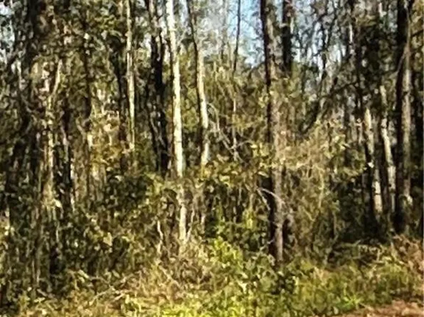 52 & 53 Wren Rd, Kingsland, GA 31548