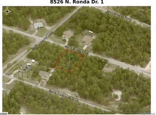 8526 N Ronda Dr, Citrus Springs, FL 34433