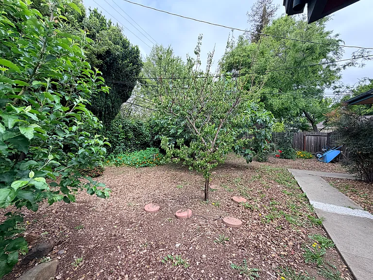 179 E Creek Dr — Photo 12
