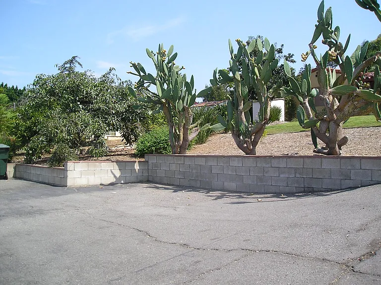 1545 Sunrise Dr — Photo 8