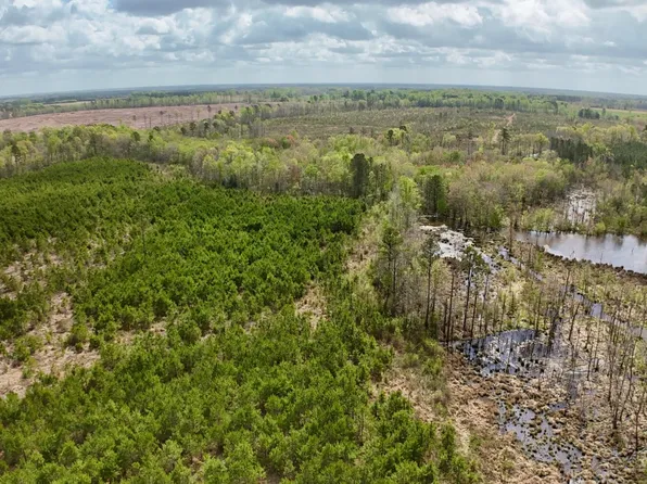 0 Hawkins Chapel Rd, Roanoke Rapids, NC 27870