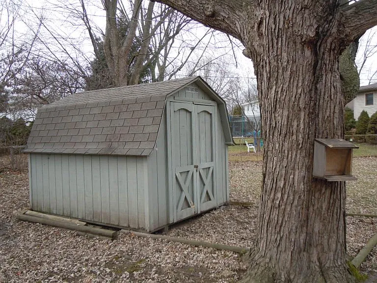 Shed
