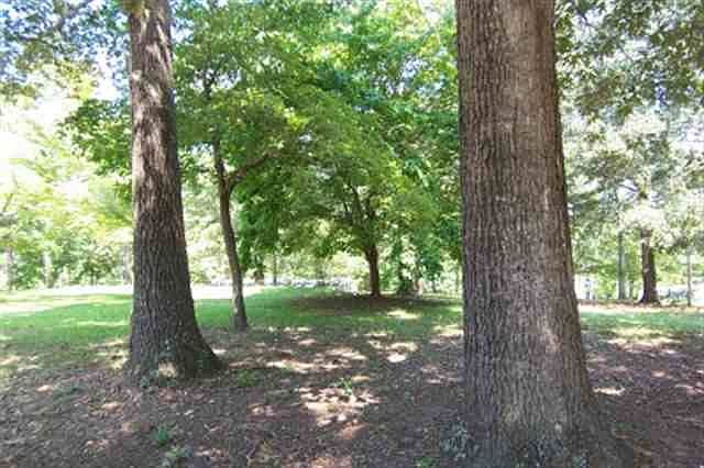 1st image of 312 Evergreen Forest Dr
