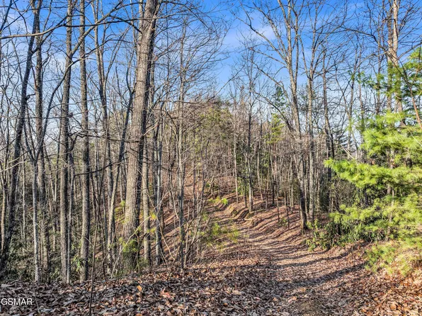 035.19 Forest Trails Dr #R, Sevierville, TN 37876