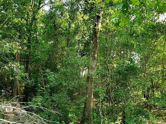 4th image of 0 Holly Ridge Rd