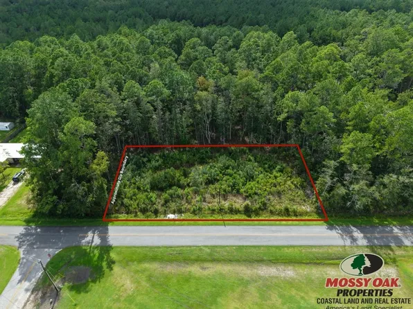 0 Lang Ave, Woodbine, GA 31569