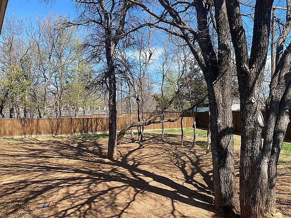 Back yard 