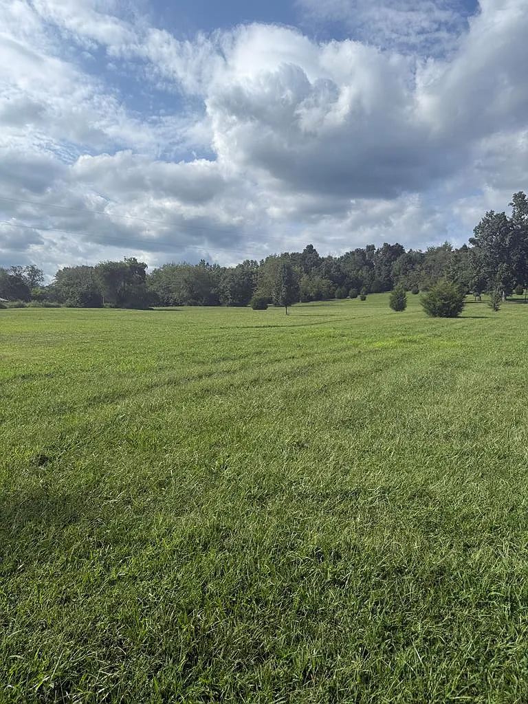 311 Buchanan Rd photo 1
