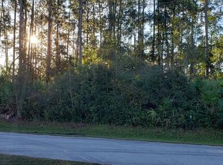 28 Burning View Ln, Palm Coast, FL 32137