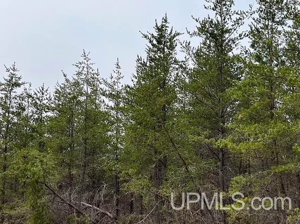 80 Acres Off Cres, Marquette, MI 49855