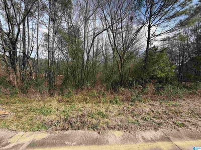 1112 Baylor Ct #67, Pell City, AL, 35125