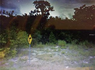 9523 Fern St, New Port Richey, FL 34654